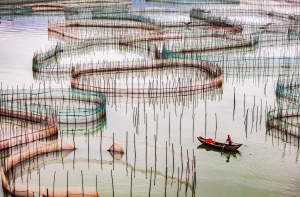 Salon.Photo Bronze Medal